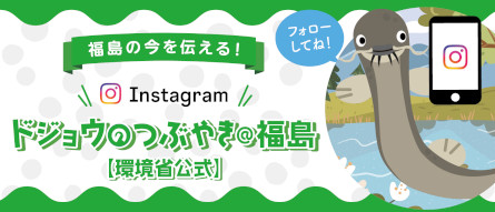 ドジョウのつぶやき公式Instagram