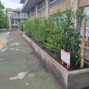 首相官邸の写真3
