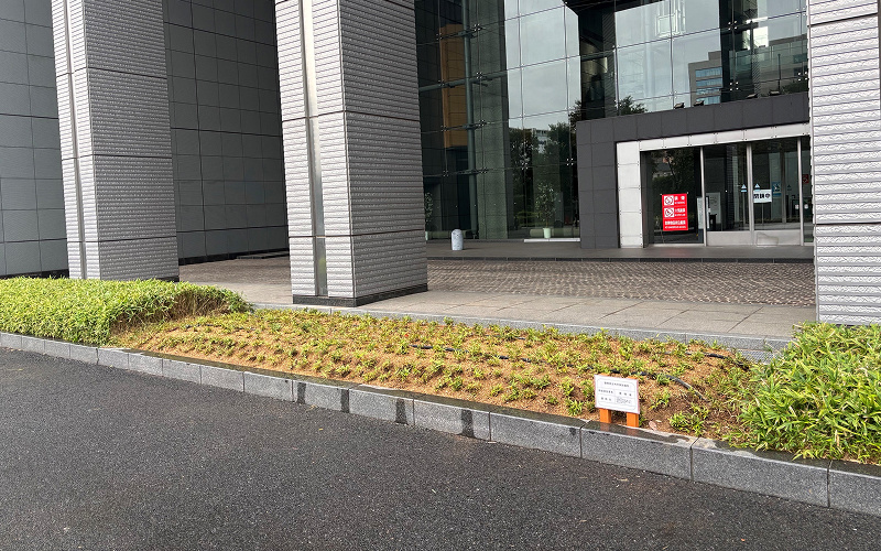 さいたま新都心合同庁舎1号館 車寄せ前花壇の写真