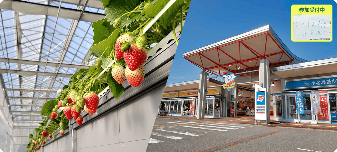 ふくしまSea／Seeっと交流ツアー